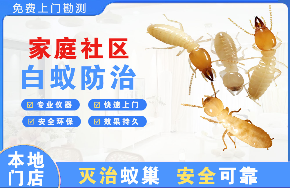 南昌家庭社区白蚁防治