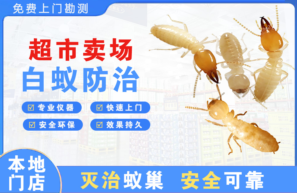 南昌超市卖场白蚁防治