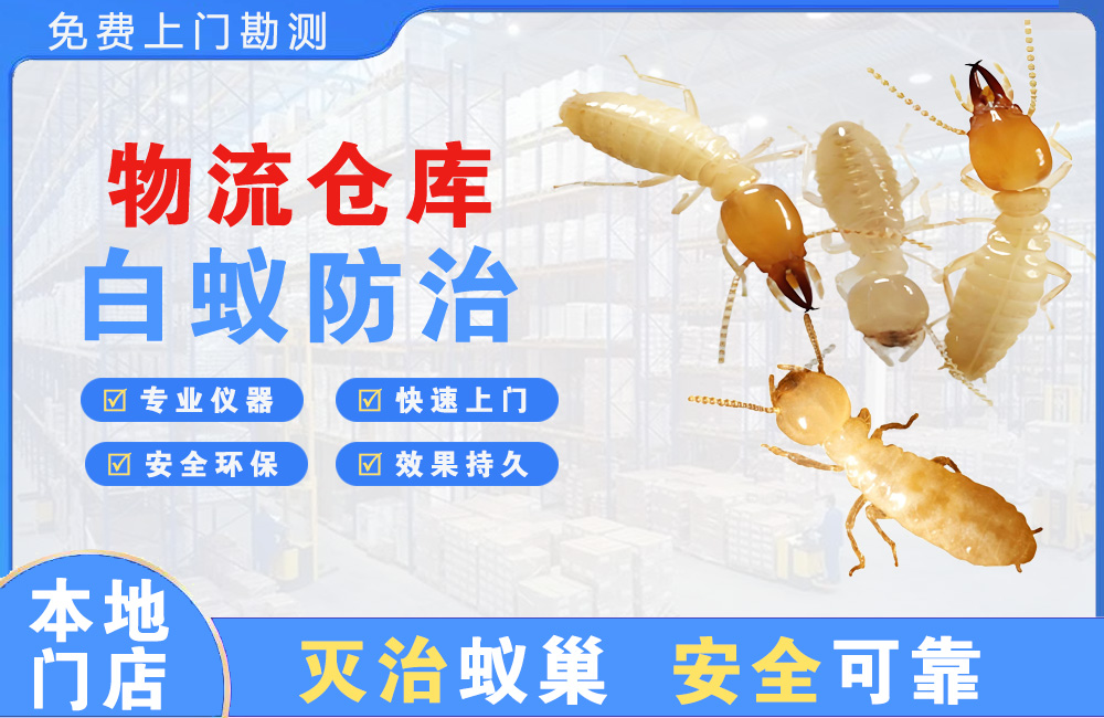 南昌物流仓库白蚁防治
