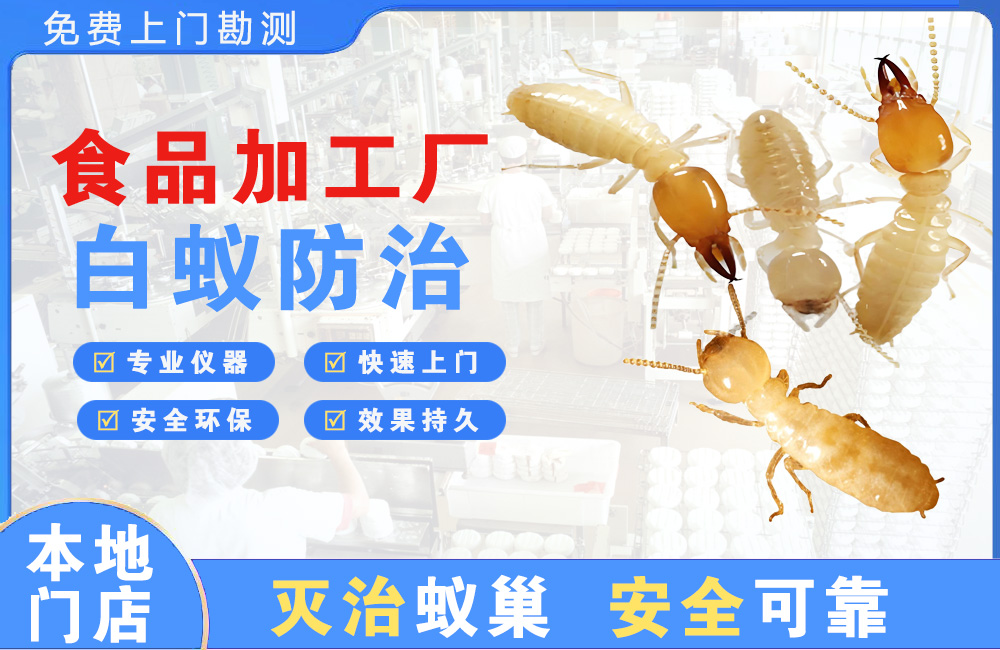 南昌食品加工厂白蚁防治