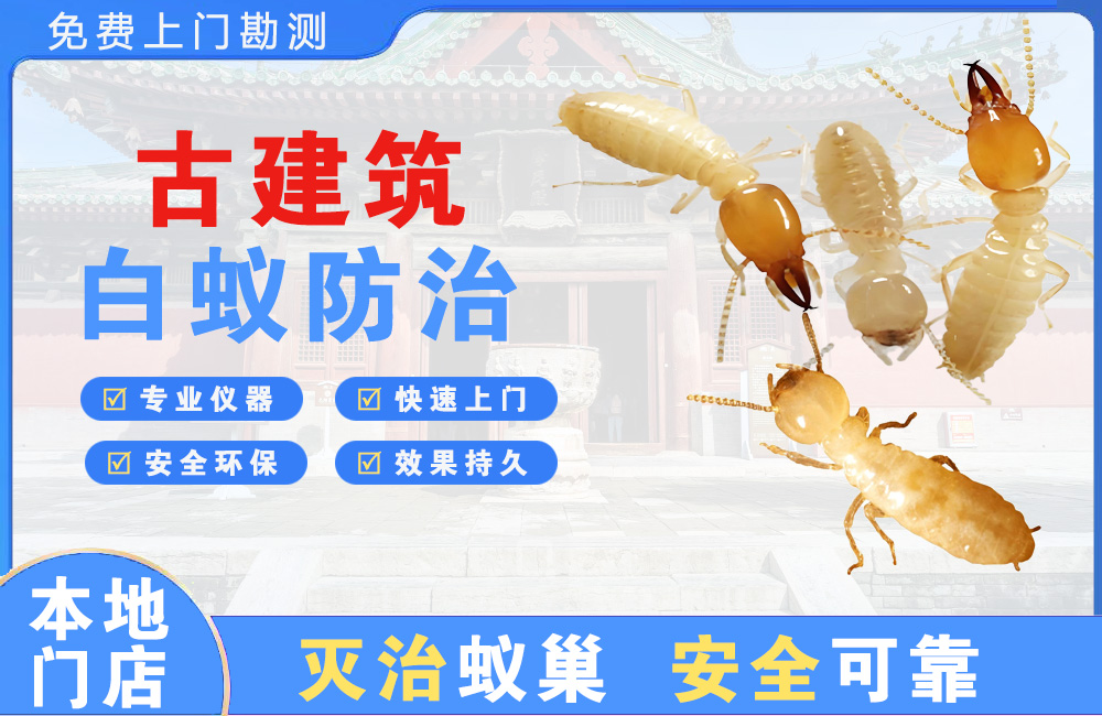 南昌古建筑白蚁防治