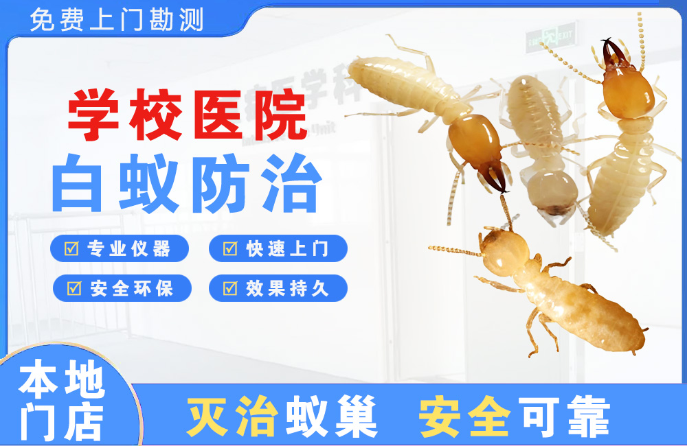 南昌学校医院白蚁防治