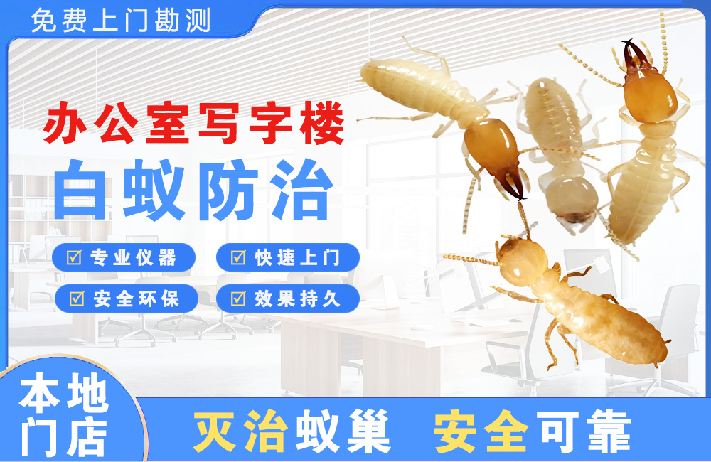 南昌办公室写字楼白蚁防治