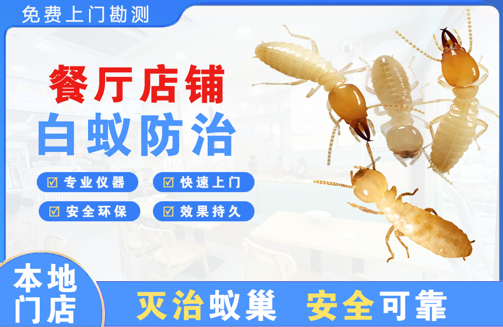 南昌餐厅店铺白蚁防治